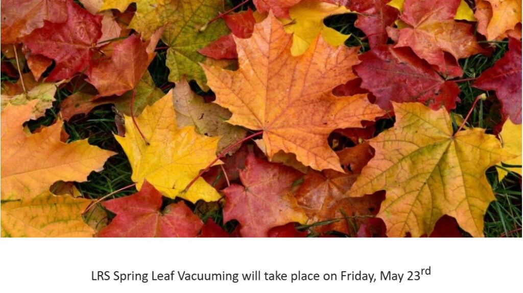 Leaf vaccuming Richmond 2025