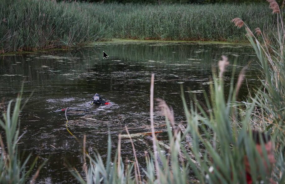 Cary pond diver 2