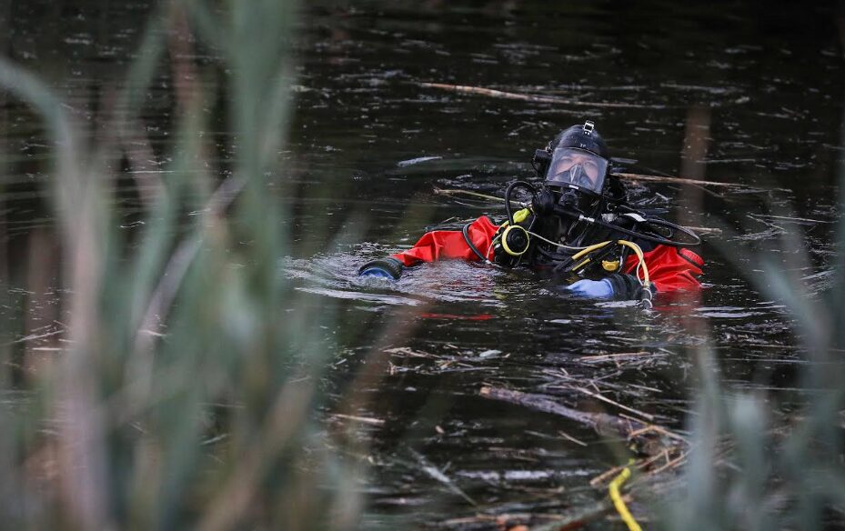 Cary pond diver
