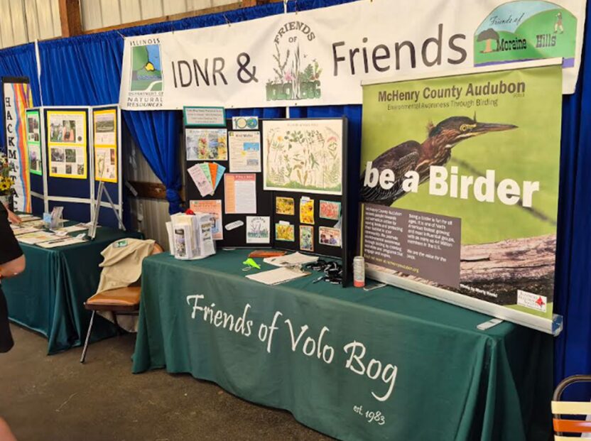 Fair 2025 eco Volo Bog Friends