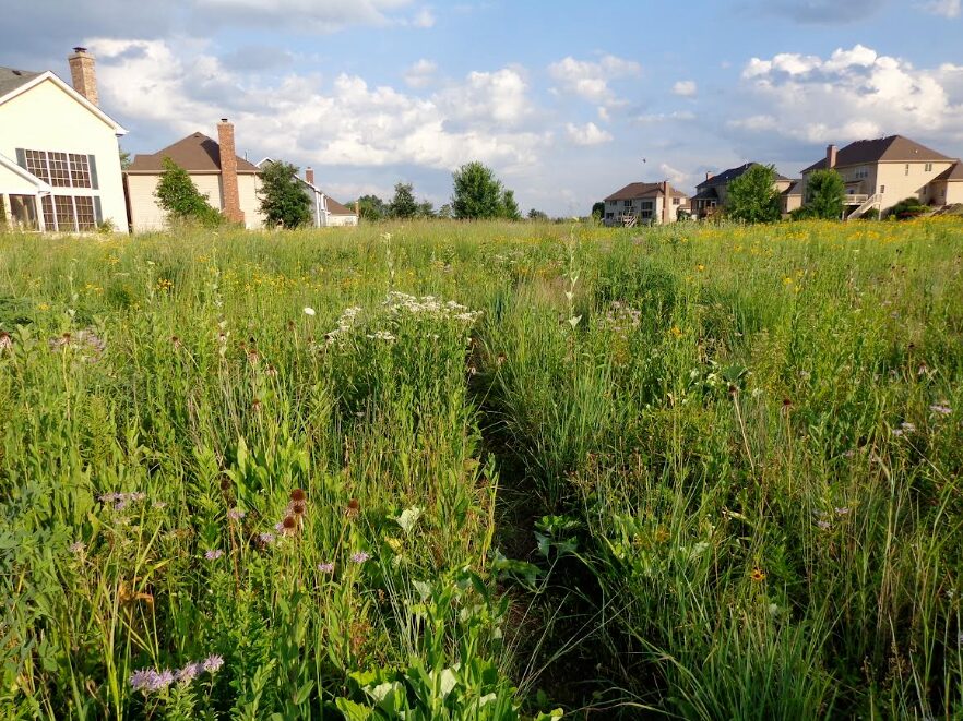 BV environmentally sound subdivision