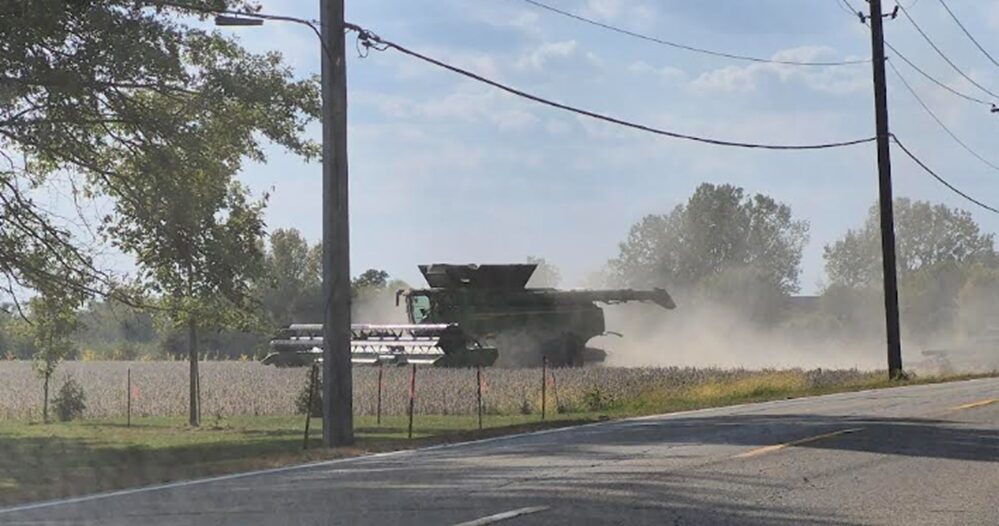 soy bean harvesting