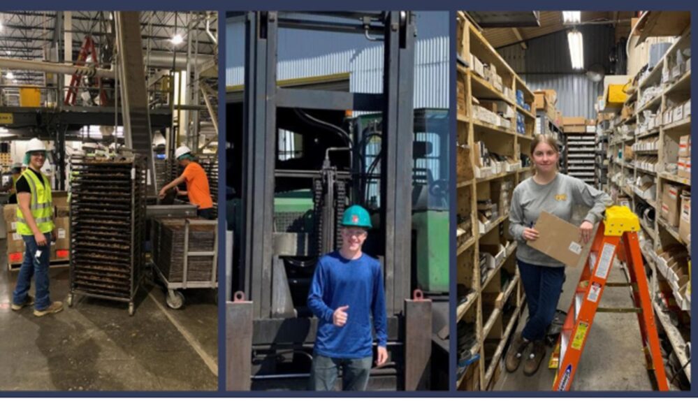 Interns manufacturers