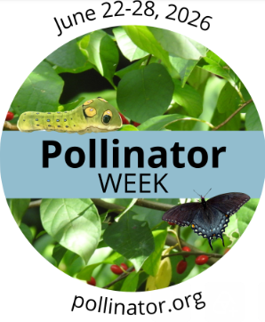 Polliater Week logo