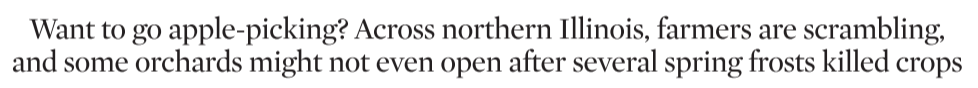 Apple orchard story on Union subhead